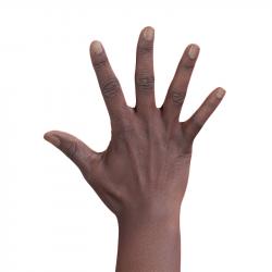 Adlynn Price Retopo Hand Scan